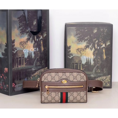 Gucci Bag 107